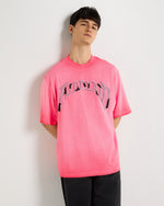 Ombré Pink Embroidered T-Shirt Front view | Weezy