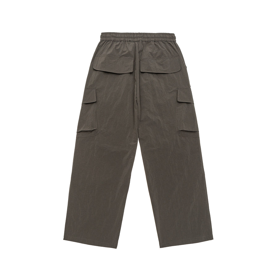 Ash Grey Utility Cargo Pants Model view | Weezy